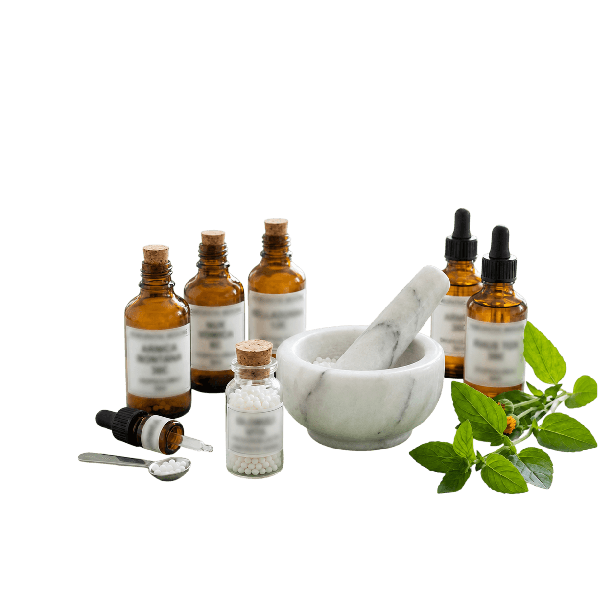 Homeopathic Remedies & Natural Herbs - Perfect Health Center